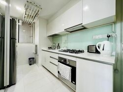 The Regency At Tiong Bahru (D3), Condominium #497032961